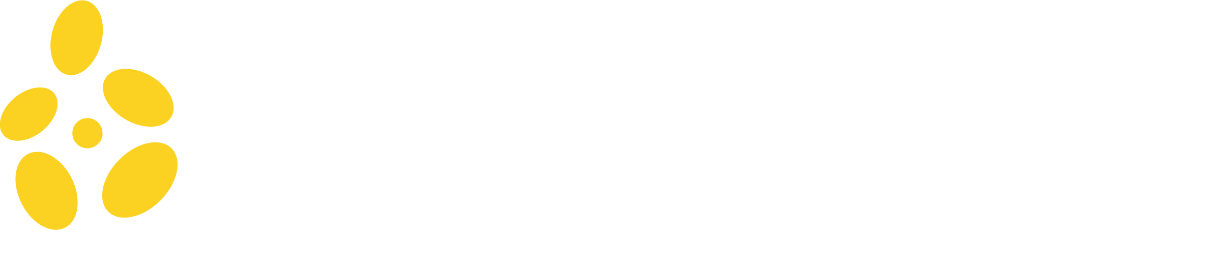 Logo Bradiem Sarl
